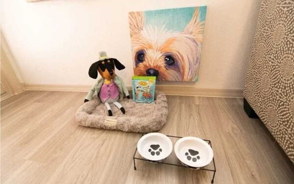How Can I Make My Pet Friendly Condo Amenities